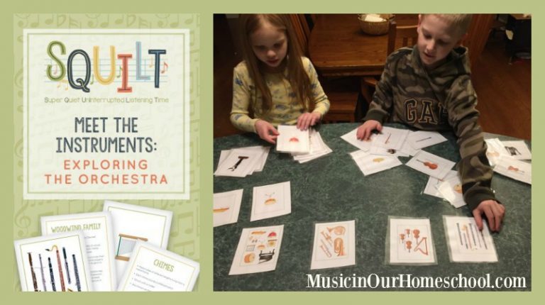 Meet the Instruments: Exploring the Orchestra resource for your kids