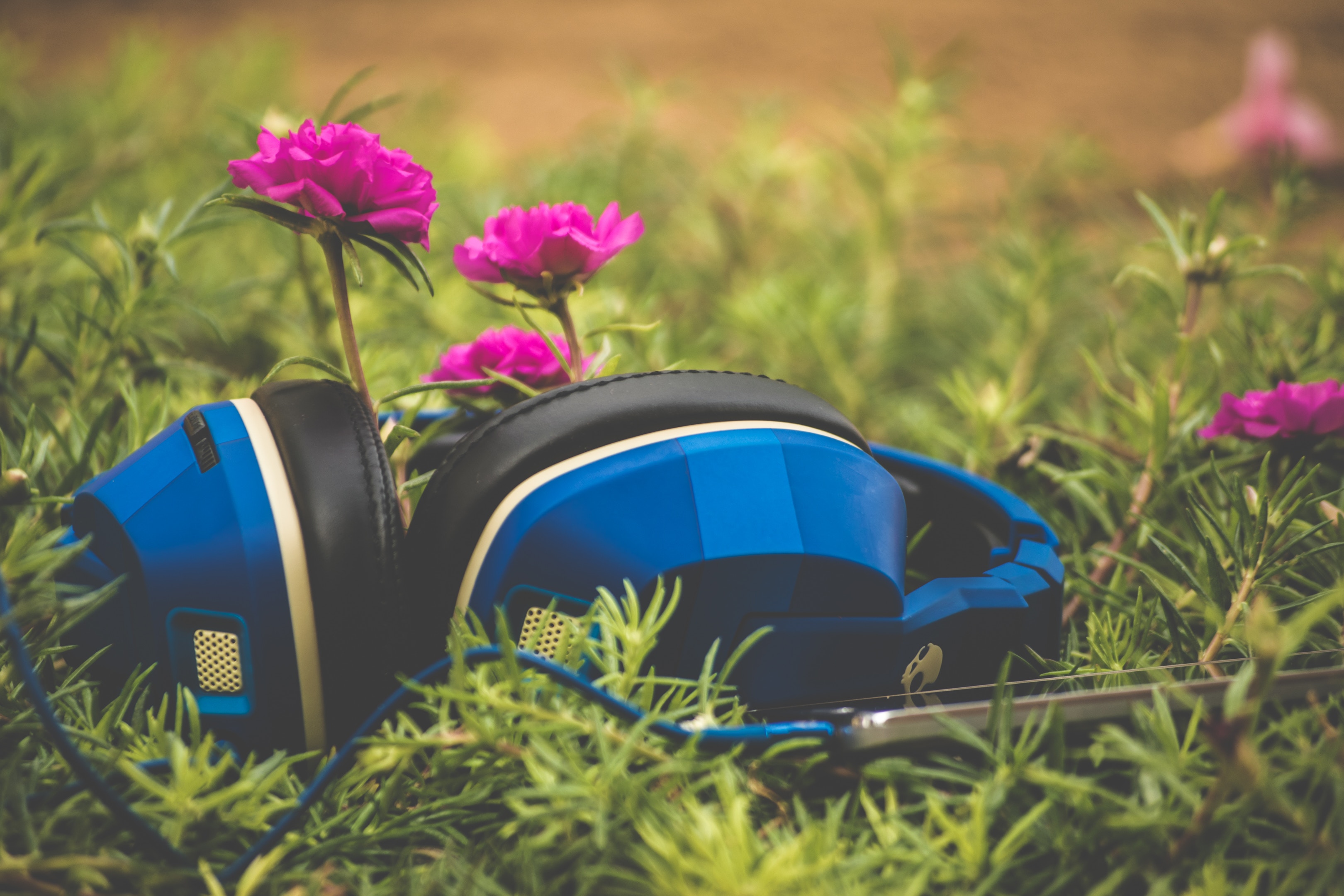 Learn.MusicinOurHomeschool.com Blue headphones Learn.MusicinOurHomeschool.com for Self-Paced Online Courses to Get Music & More into Your Homeschool Since most homeschool moms don't have the time or expertise to teach music in their homeschools, we offer click-and-go , super easy-to-use music appreciation courses for all ages, so every homeschool can include music! Find Music History, Hymn Study, Composer Study, 15-Minute Music Lessons, Musicals, Christmas, and more! Take a look Free Preview lessons for each course.