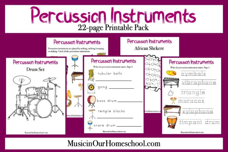 Percussion Instruments pin