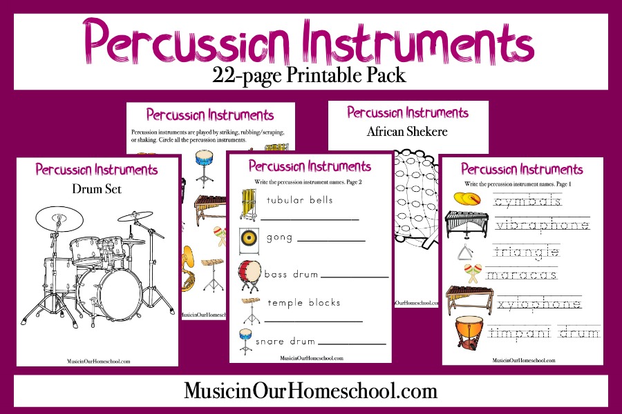 Percussion Instruments pin