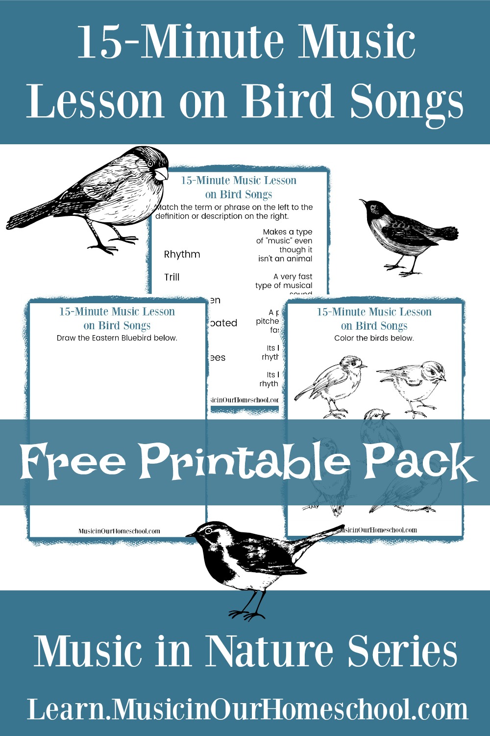 15-Minute Music Lesson on Bird Songs free video lesson and printable pack