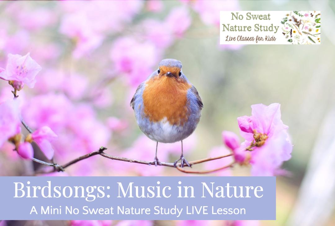 15-Minute Music Lesson on Bird Songs free video lesson and printable pack