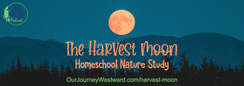 Homeschool Nature Study about the Harvest Moon