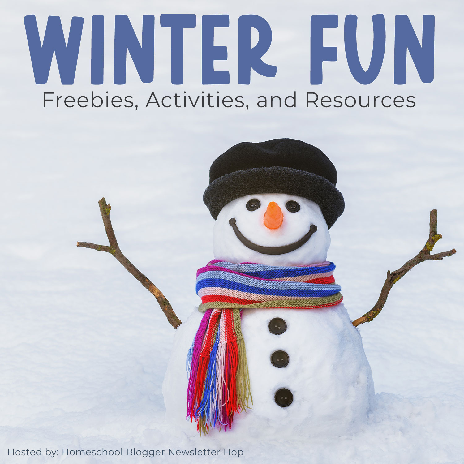 Winter Fun posts for homeschoolers