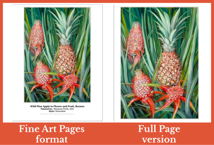 Printed Fine Art Pages