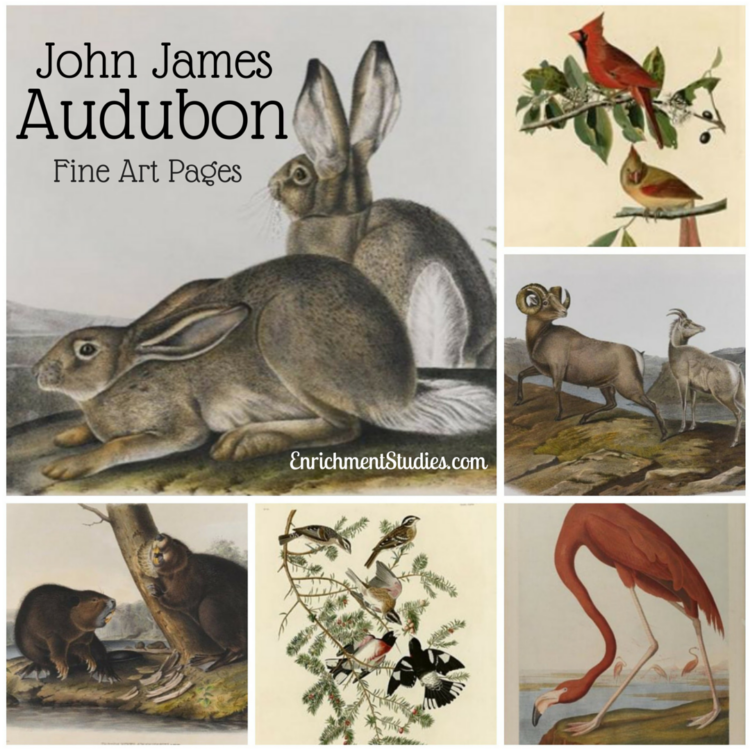 Audubon Fine Art Pages