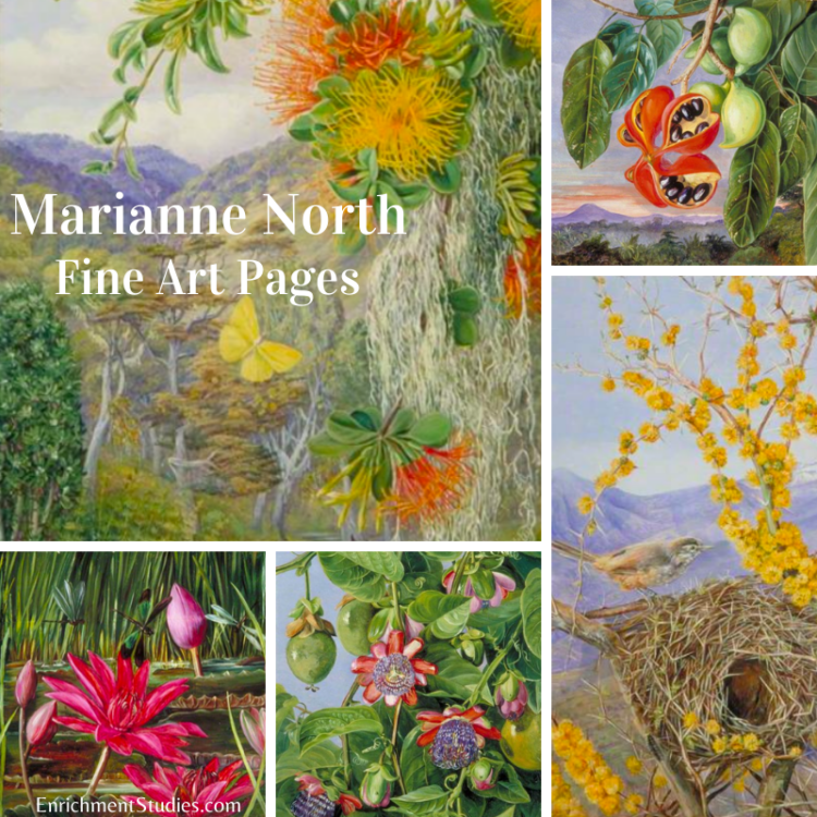 Marianne North Fine Art Pages