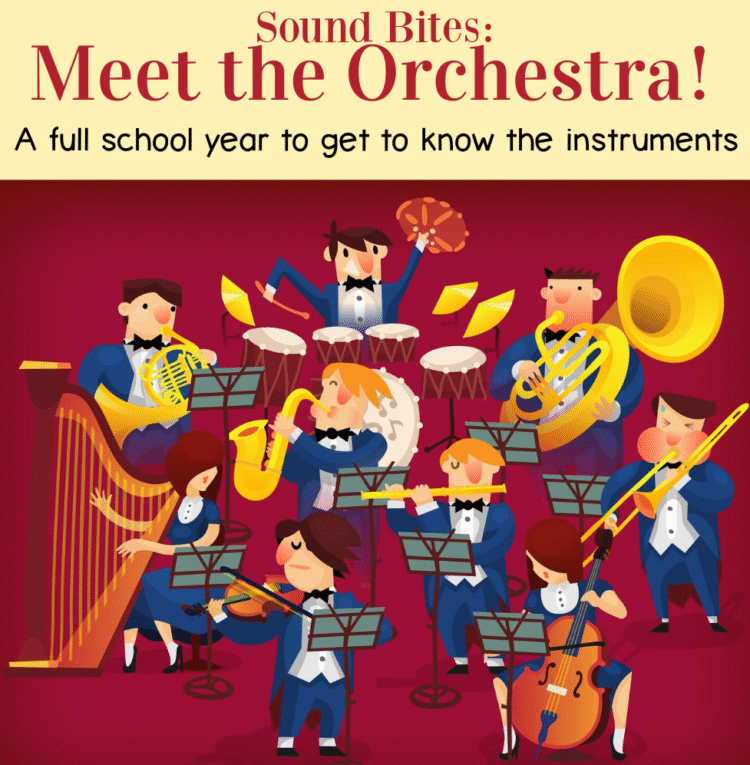 Sound Bites: Meet the Orchestra