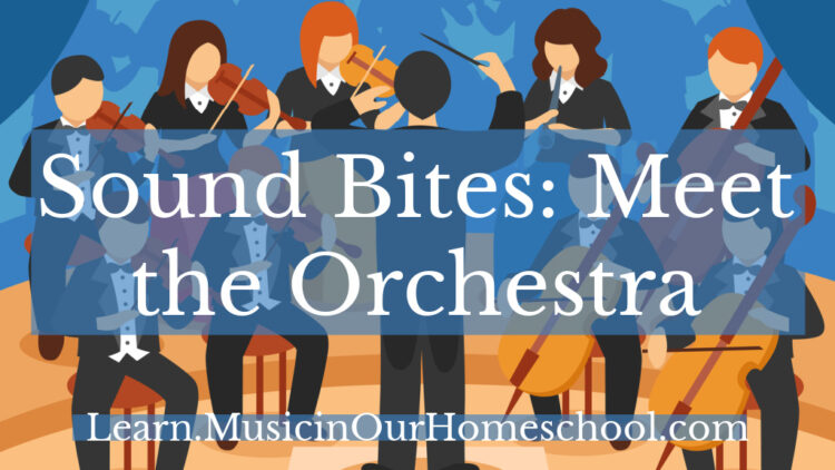 Sound Bites: Meet the Orchestra